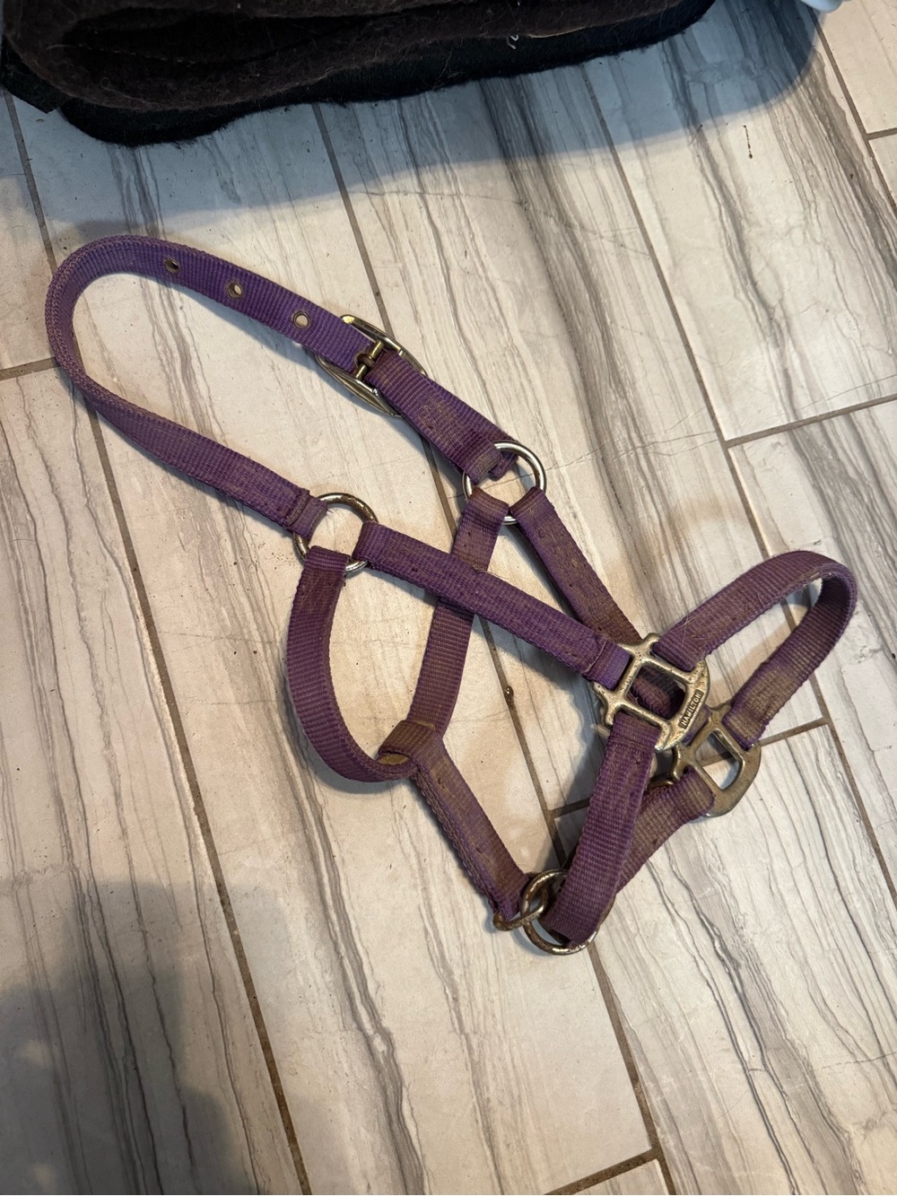 Purple Nylon Yealring Horse Halter
